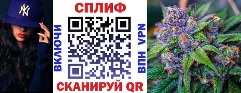 Каннабис OG Kush  Семилуки 